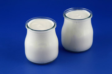 Tubs of natural yogurt, derived from cow's milk.