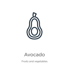 Avocado icon. Thin linear avocado outline icon isolated on white background from fruits collection. Line vector avocado sign, symbol for web and mobile