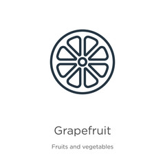 Grapefruit icon. Thin linear grapefruit outline icon isolated on white background from fruits and vegetables collection. Line vector grapefruit sign, symbol for web and mobile