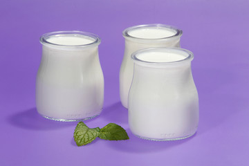 Tubs of natural yogurt, derived from cow's milk.