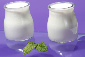 Tubs of natural yogurt, derived from cow's milk.