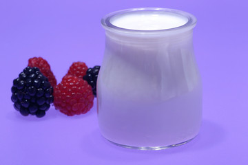 Tubs of natural yogurt, derived from cow's milk.
