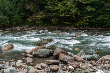 mountain fast bubbling river, river flow