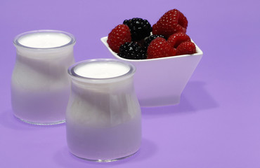 Tubs of natural yogurt, derived from cow's milk.
