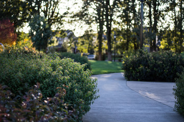 Villebois walk