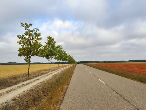 The path of Camino de Santiago in mesetas after the vilage of El Burgo Ranero