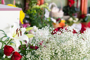 Assortment of beautiful fresh flowers in shop