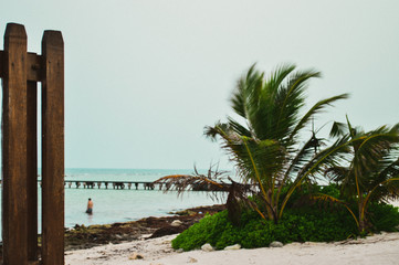 Mahahual