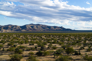 Fototapeta premium view of mountains in desert