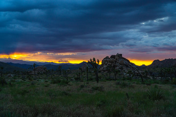 sunset in mountains Joshua Tree National Park