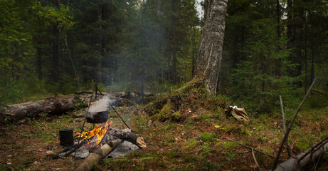 Hunting in the forest Siberia