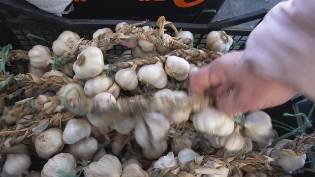 Onions garlic in the farmer market place 