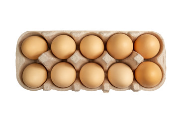 chicken eggs close-up isolated on white background in cardboard box for transportation