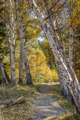 Beautiful Eastern Sierra’s from June Lake to Lake Tahoe