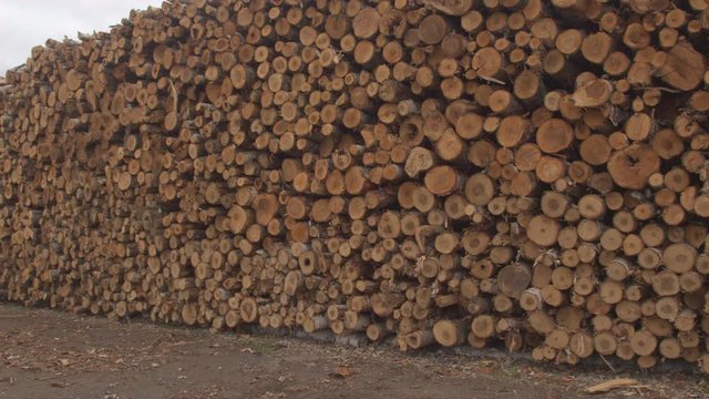 AERIAL, CLOSE UP: Scenic view of perfectly stacked pile of firewood lumber lying on the road under the dark rainy clouds. Stunning pattern of cut logs piled perfectly in large endless row of woodpile