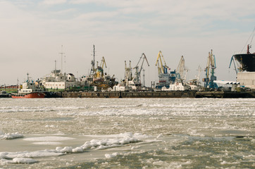 Sea coast in the winter