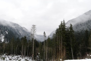 Snowy Valley