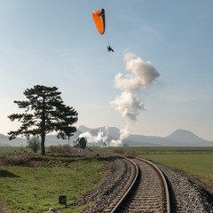 Papou&scaron;ek na &Scaron;vestkov&eacute; dr&aacute;ze