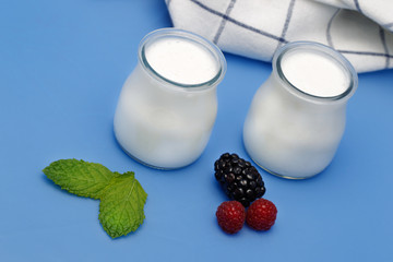 Tubs of natural yogurt, derived from cow's milk.