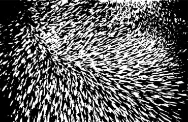 Rough black and white texture vector. Distressed overlay texture. Grunge background. Abstract textured effect. Vector Illustration. Black isolated on white background. EPS10.