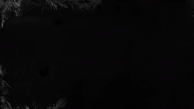 Ice Flowers Frost timelapse on black background