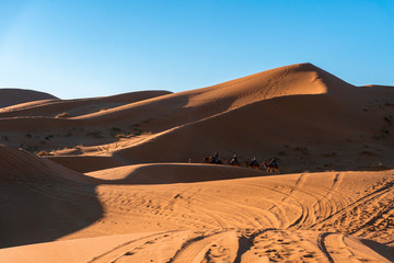 Fototapeta na wymiar Caravan in Sand dunes of Erg Chebbi in the Sahara Desert, Morocco