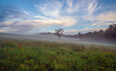 Upstate New York in Sullivan county in summer with fog on the meadow