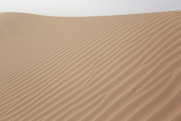 Dubai Desert