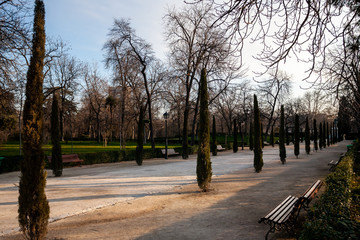 Views of the gardens of the Buen Retiro Park.