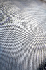 Part of the end face of a sheet of aluminum sheet.