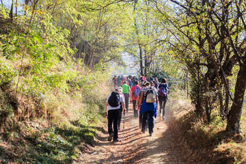 Obraz premium Hiking Group Of People Walking In Nature