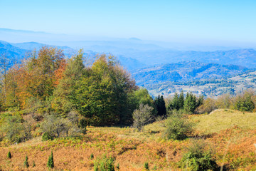 Beautiful countryside view of autumn landscape