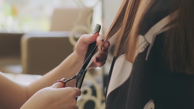 Female hairdresser hold in hand between fingers lock of hair, comb and scissors closeup. Trim the tips of the hair by scissors. stages of hair salon haircuts. wash hair before the haircut.