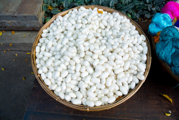 white Silk cocoons in a basket 