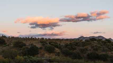 Paisaje del campo de almeria por la tarde