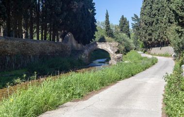 Road to the mountains near rivers with an ancient bridge (Andros Island, Greece, Cyclades)