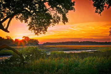 Sunrise Over Marsh