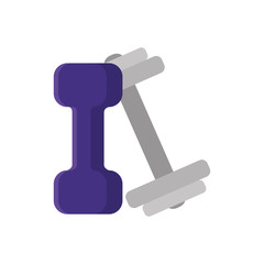 set of dumbbell equipment gym isolated icon vector illustration design