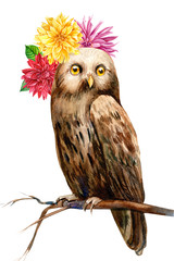 forest animals, owl with a bouquet of flowers, watercolor illustration, hand drawing, a collection of elements on an isolated white background