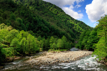Fototapeta na wymiar Adjarian landscape. River among mountains.