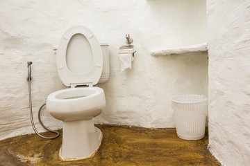 flush toilet in toilet room.