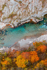 Red autumn forest and blue mountain river, rocks aerial view. Montenegro, Tara river canyon.