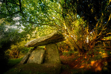 Gaulstone dolmen lays under the trees