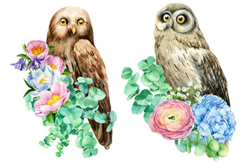 owl with a bouquet of flowers, peonies, hydrangea, eucalyptus, bells, watercolor illustration, hand drawing, a collection of elements on an isolated white background