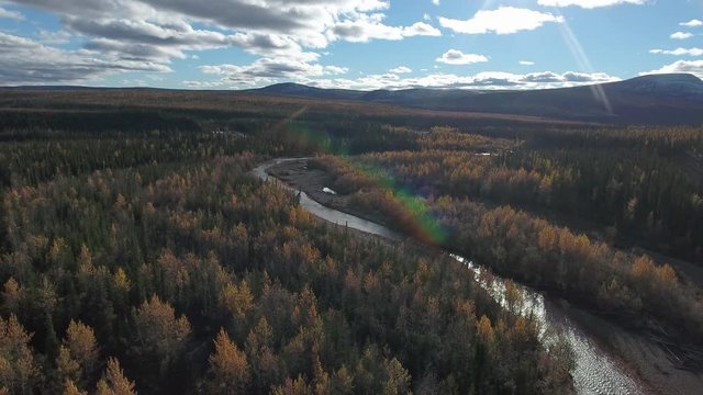 Aerial view of forrest near Dempster Highway on autumn day. Dempster Highway, Yukon, Canada.
