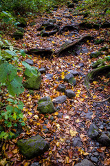 大山行者コースの秋（大山隠岐国立公園/鳥取県）	