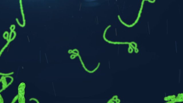 Ebola