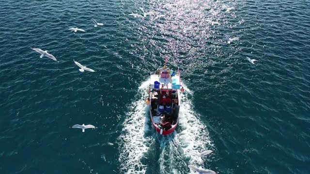 Aerial drone video of traditional wooden fishing boat cruising near port of Syros island followed by seagulls, Cyclades, Greece