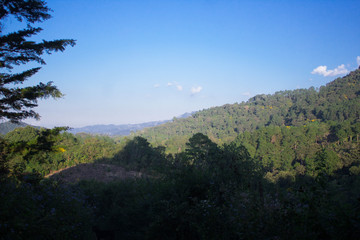 A beuty sky, mountains, and a big forest.