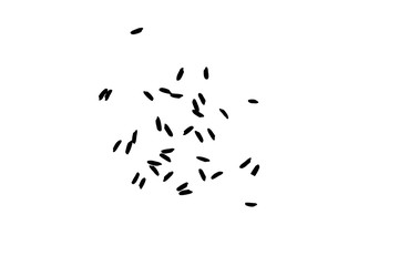 White rice in black on white background. Organic texture. Silhouette of rice flakes, spread on the flat surface or table. Top view. Vector.
